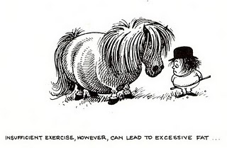 Image result for ponies thelwell gif